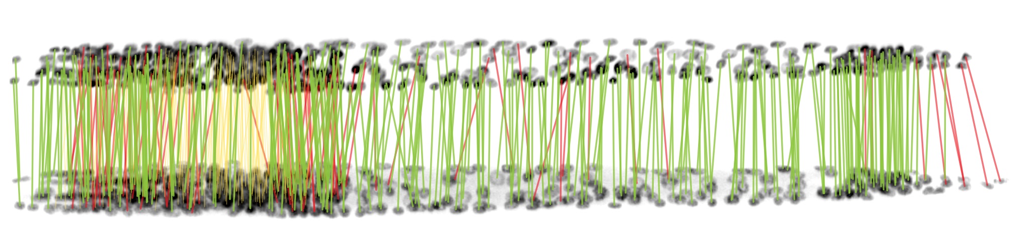 Graph Matching Benchmark Teaser Image Worm